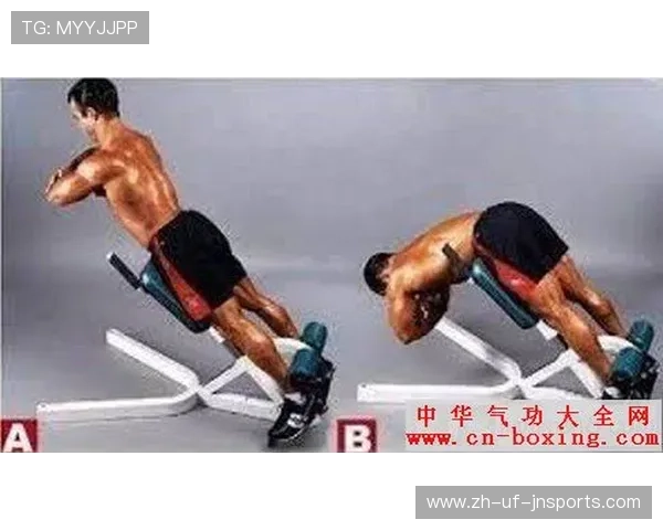 高拉力训练器使用技巧与背部肌肉全面训练方法解析